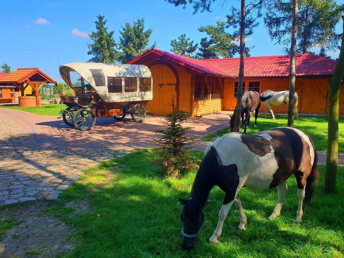 Osrodek Agroturystyczny Zacisze Villa Giewartów Kültér fotó